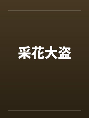 采花大盗封面