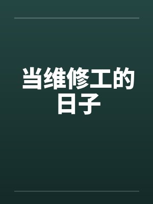 当维修工的日子封面