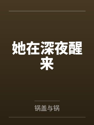 她在深夜醒来封面