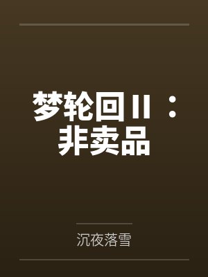 梦轮回Ⅱ：非卖品封面