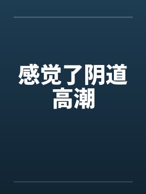 感觉了阴道高潮封面