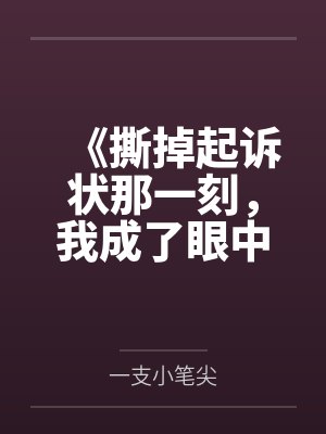 《撕掉起诉状那一刻，我成了眼中钉》封面