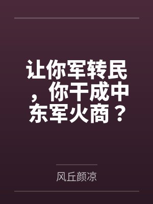 让你军转民，你干成中东军火商？封面