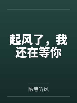 起风了，我还在等你封面