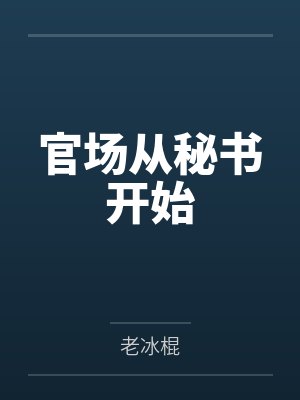 官场从秘书开始by老冰棍封面