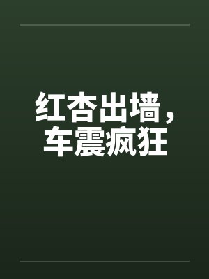 红杏出墙，车震疯狂封面
