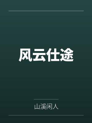 风云仕途封面