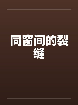 同窗间的裂缝封面