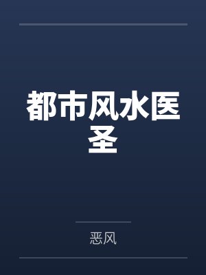 都市风水医圣封面