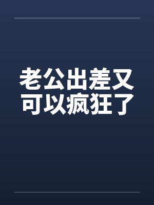老公出差又可以疯狂了封面