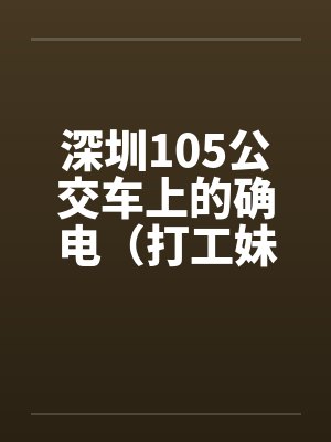 深圳105公交车上的确电（打工妹）封面