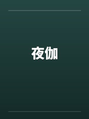 夜伽封面