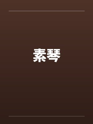 素琴封面
