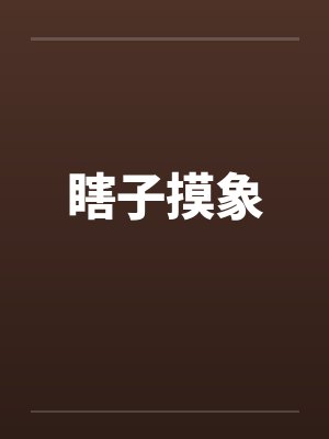 瞎子摸象封面