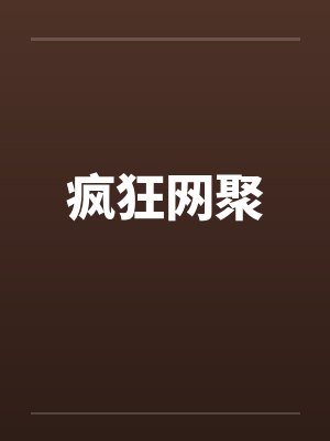 疯狂网聚封面