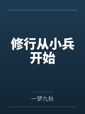 张奇赵阙封面