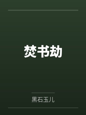 焚书劫封面