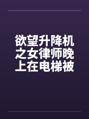 欲望升降机之女律师晚上在电梯被封面