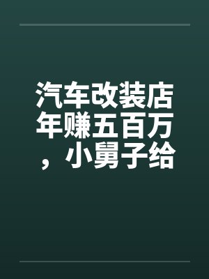 汽车改装店年赚五百万,小舅子给我分红250块后悔疯了封面