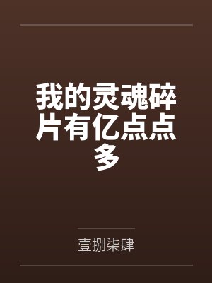 我的灵魂碎片有亿点点多封面