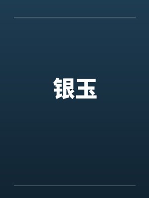 银玉封面