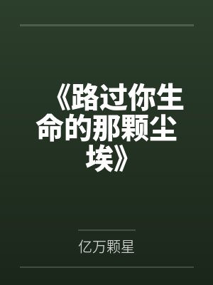 《路过你生命的那颗尘埃》封面