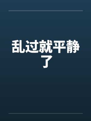 乱过就平静了封面