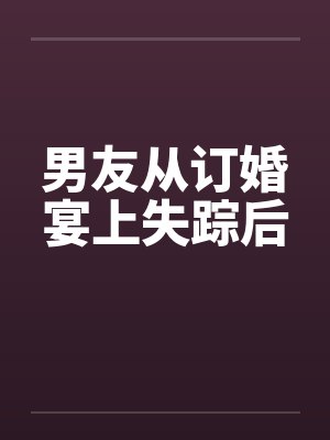 男友从订婚宴上失踪后封面
