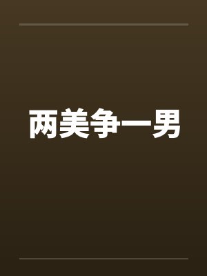 两美争一男封面