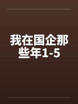 我在国企那些年1-5封面