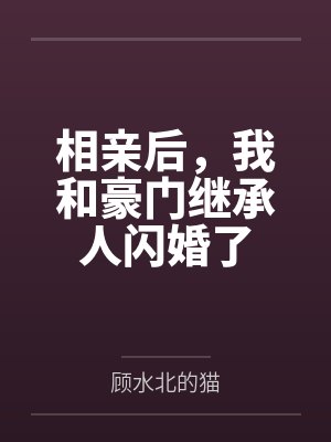 唐薇陆北辰相亲后,我和豪门继承人闪婚了封面