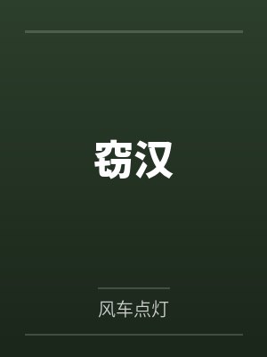 窃汉by风车点灯封面