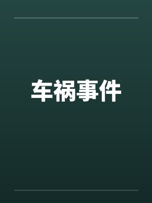 车祸事件封面