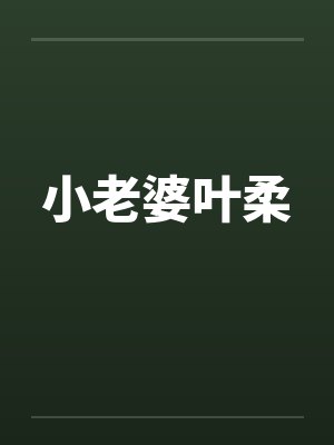 小老婆叶柔封面