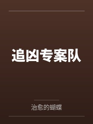 追凶专案队封面