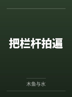 把栏杆拍遍封面