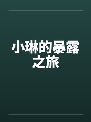 小琳的暴露之旅封面