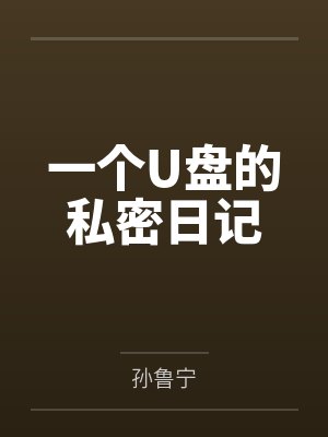 一个U盘的私密日记封面