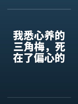 我悉心养的三角梅，死在了偏心的家封面