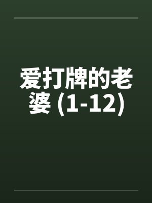 爱打牌的老婆 (1-12)封面