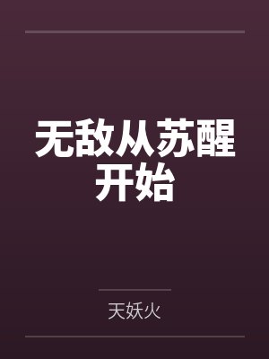 林天林沐雨封面