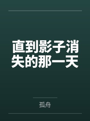 直到影子消失的那一天封面