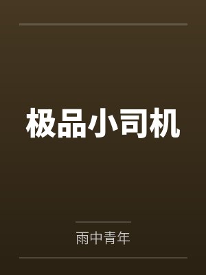 极品小司机封面