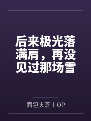 后来极光落满肩,再没见过那场雪封面