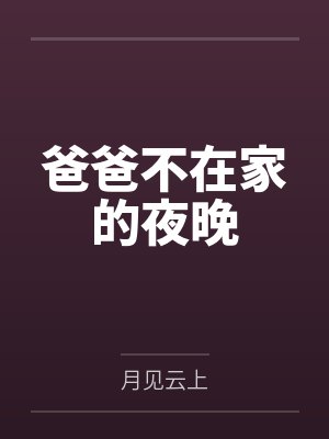爸爸不在家的夜晚封面
