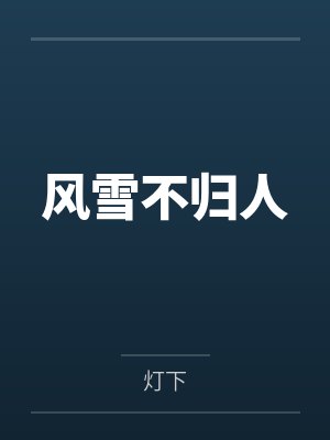 风雪不归人封面