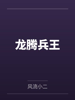龙腾兵王封面