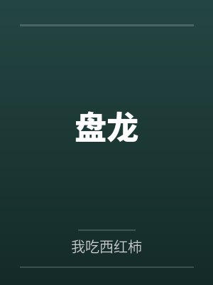 盘龙封面