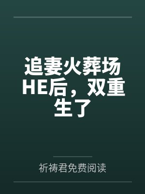 追妻火葬场HE后，双重生了by祈祷君免费阅读笔趣阁无弹窗封面