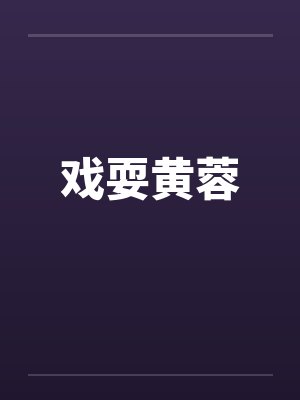 戏耍黄蓉封面